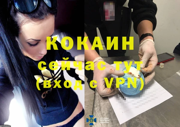 соль ск Алзамай