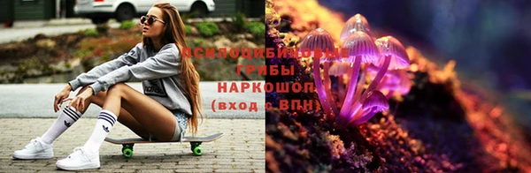 соль ск Алзамай
