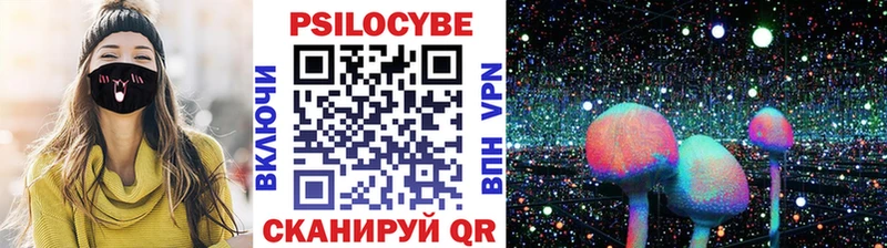 Псилоцибиновые грибы Cubensis  Жиздра 